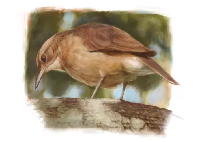 Nathalia (UNIDADE 1)