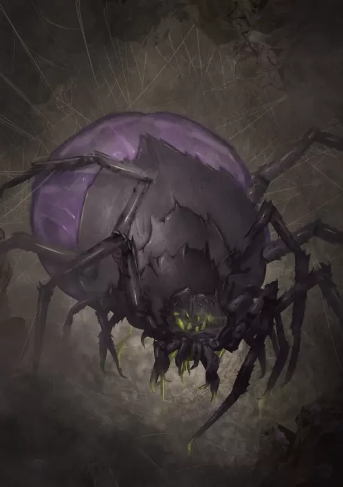 Felipe Contartesi (UNIDADE 2)